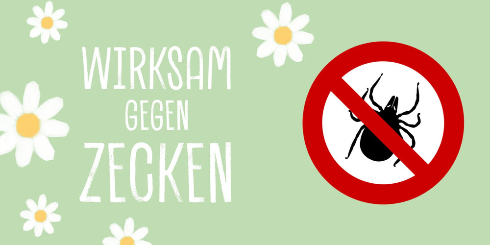 Was hilft gegen Zecken bei Hunden?
