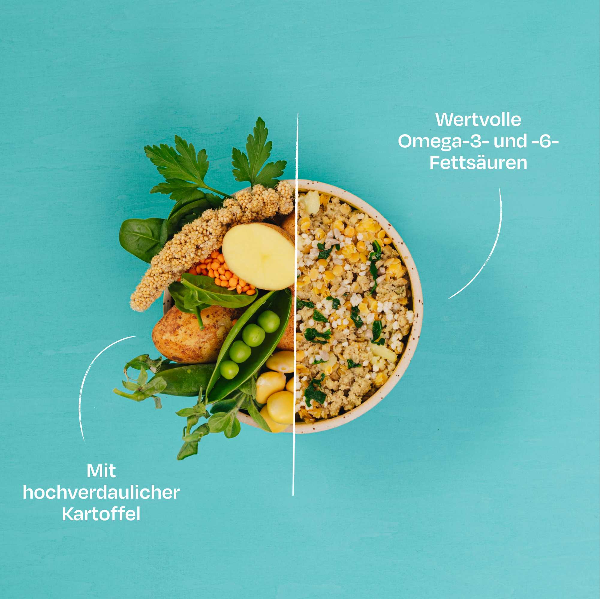 <tc>ADULT Lenticchie e Miglio</tc>