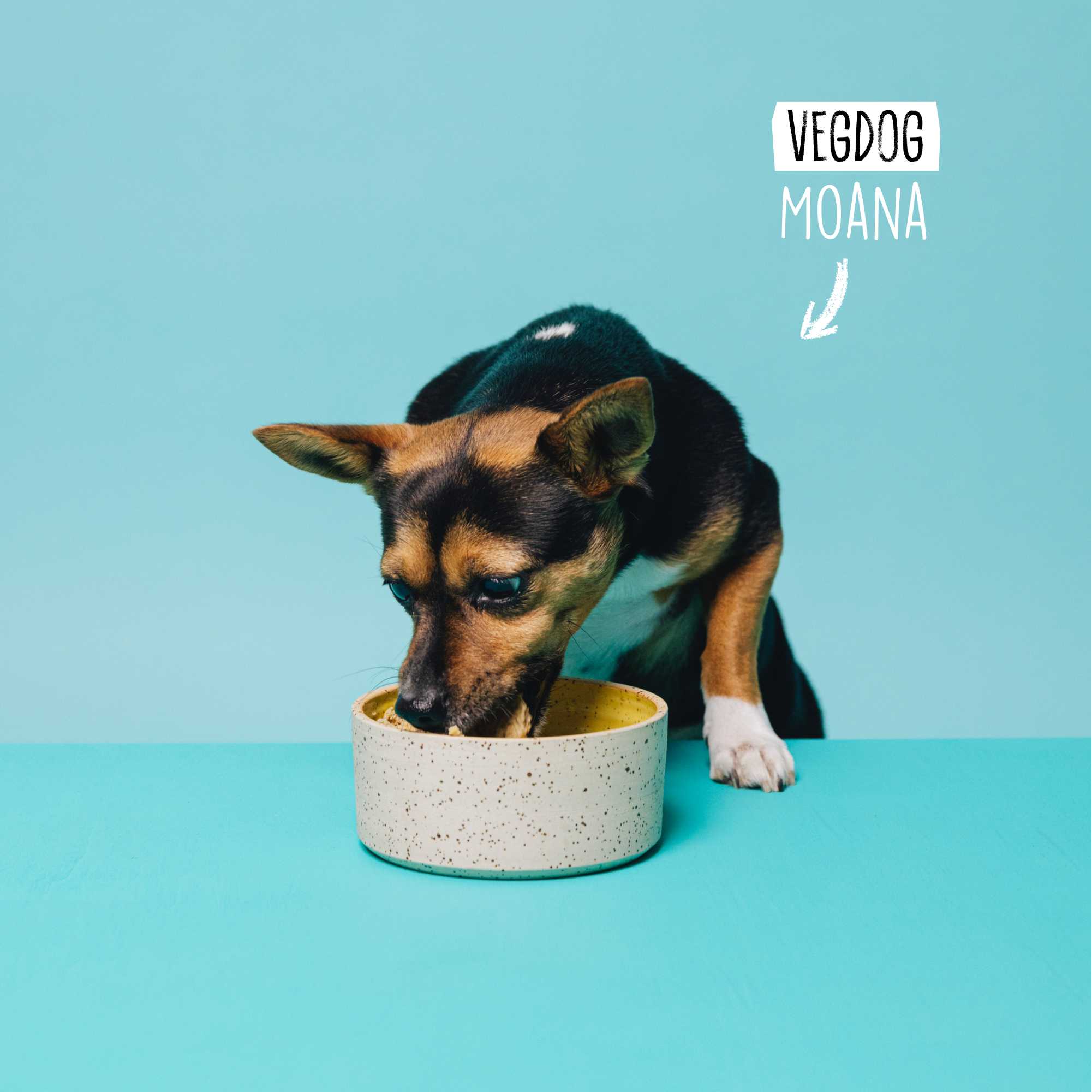 <tc>ADULT Lenticchie e Miglio</tc>