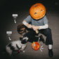 Smokey Halloween Bundle