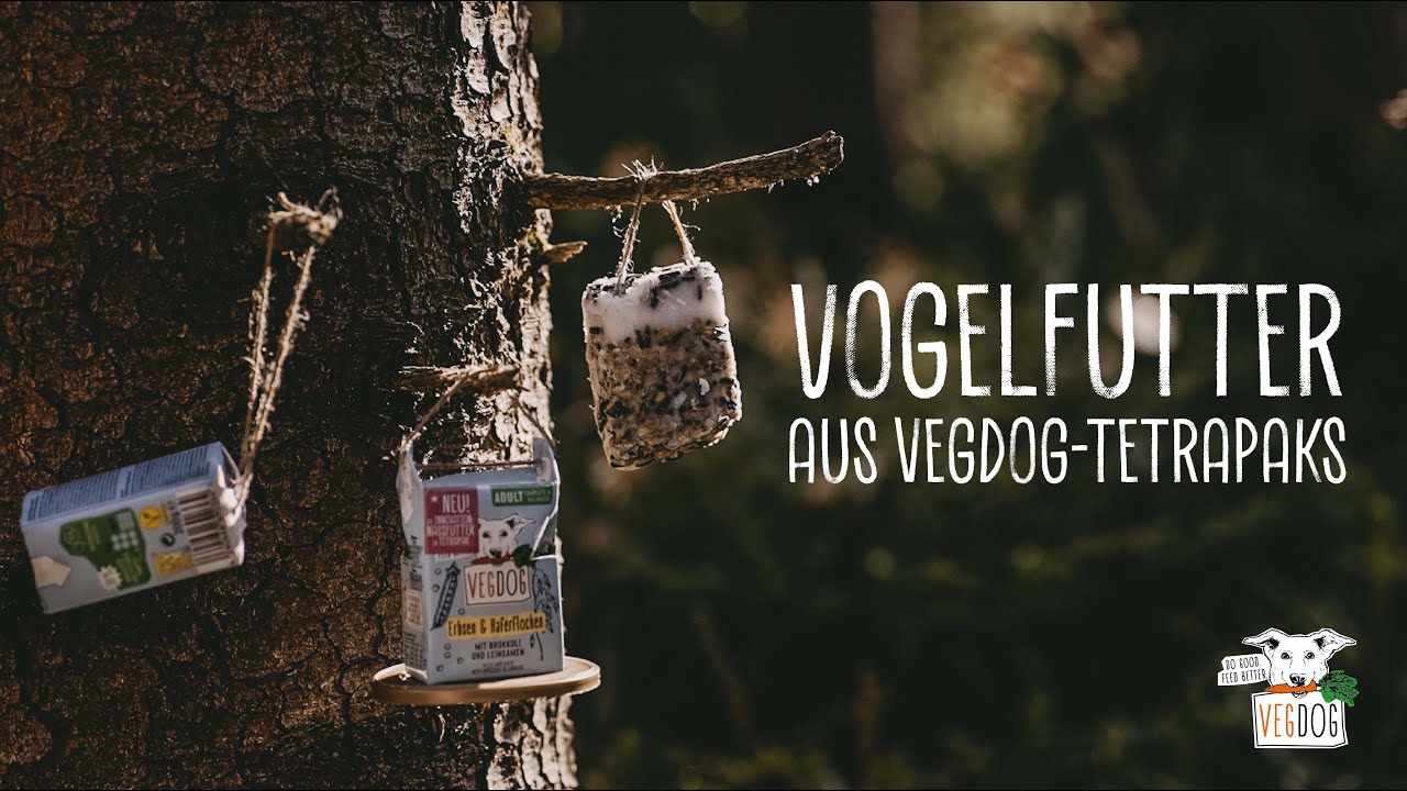 Caricare il video: 